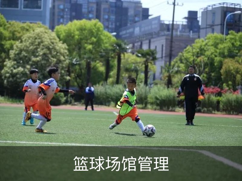 关于篮球场馆管理